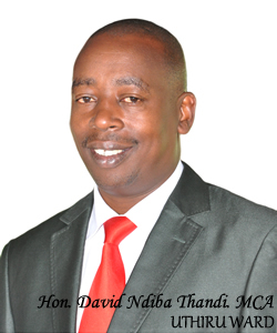 Hon. David Ndiba Thandi