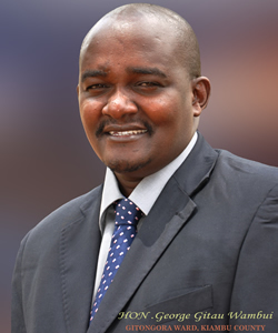 Hon. George Gitau Wambui